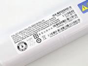 EU Echt Ibm 271-00011+f0 Batterie Sn Bf10 271-00011 4600mah Netapp N3600